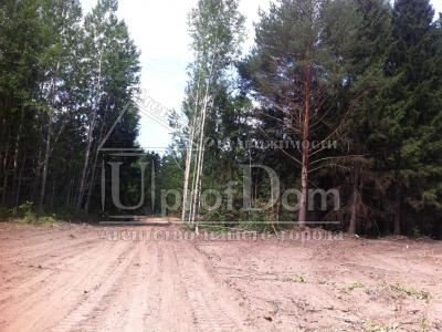 Пермский край, Пермский район, село Луговая, Пермский край, Пермский район, село Луговая,