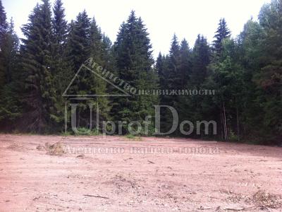 Пермский край, Пермский район, село Луговая, Пермский край, Пермский район, село Луговая,