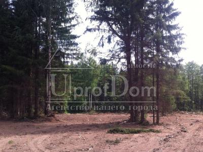 Пермский край, Пермский район, село Луговая, Пермский край, Пермский район, село Луговая,