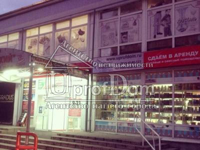 Автозаводская 44 (ТЦ Закамский) Автозаводская 44 (ТЦ Закамский)