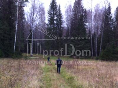 Земельный участок в Нытвенском районе,