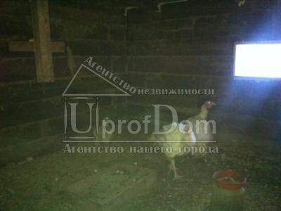 Дом, в п. Кукуштан, общ пл 200 кв.м., 12 соток земли Дом, в п. Кукуштан, общ пл 200 кв.м., 12 соток земли