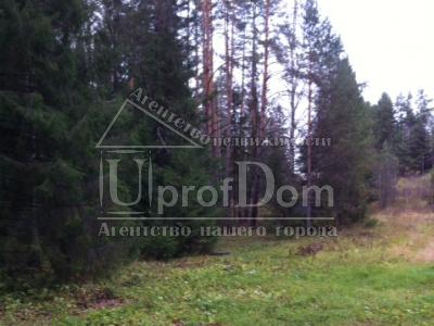 Земельный участок в Нытвенском районе,