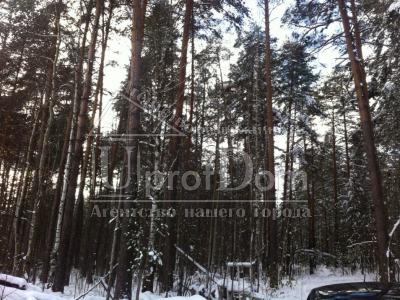 Дом в дачном кооперативе,