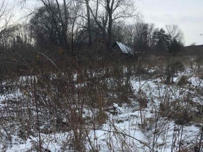 Земельный участок в Кунгурском районе